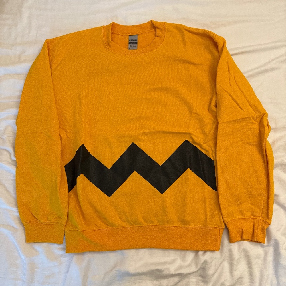 Charlie Brown Pullover Sweater